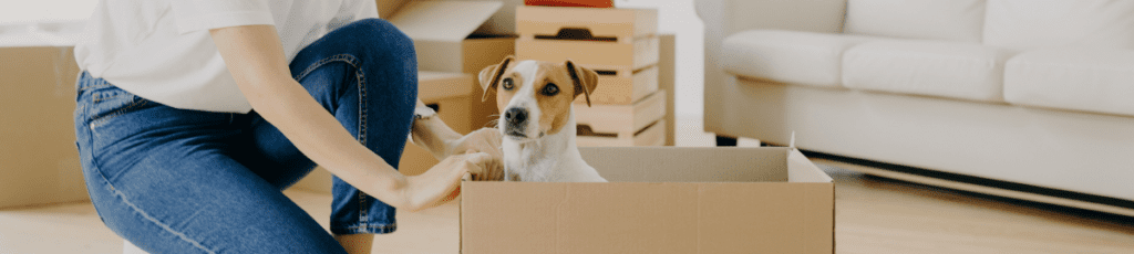 Here are the top 5 arguments for allowing tenants to keep pets in your rental property.