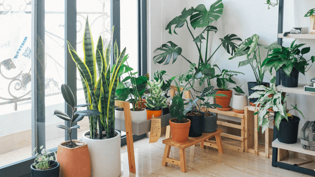 5 Ideas for Sustainable Apartment or Rental Home Living
